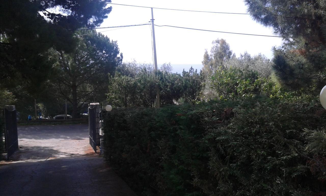 Borgo Marinaro Bed & Breakfast Marina di Camerota Eksteriør bilde